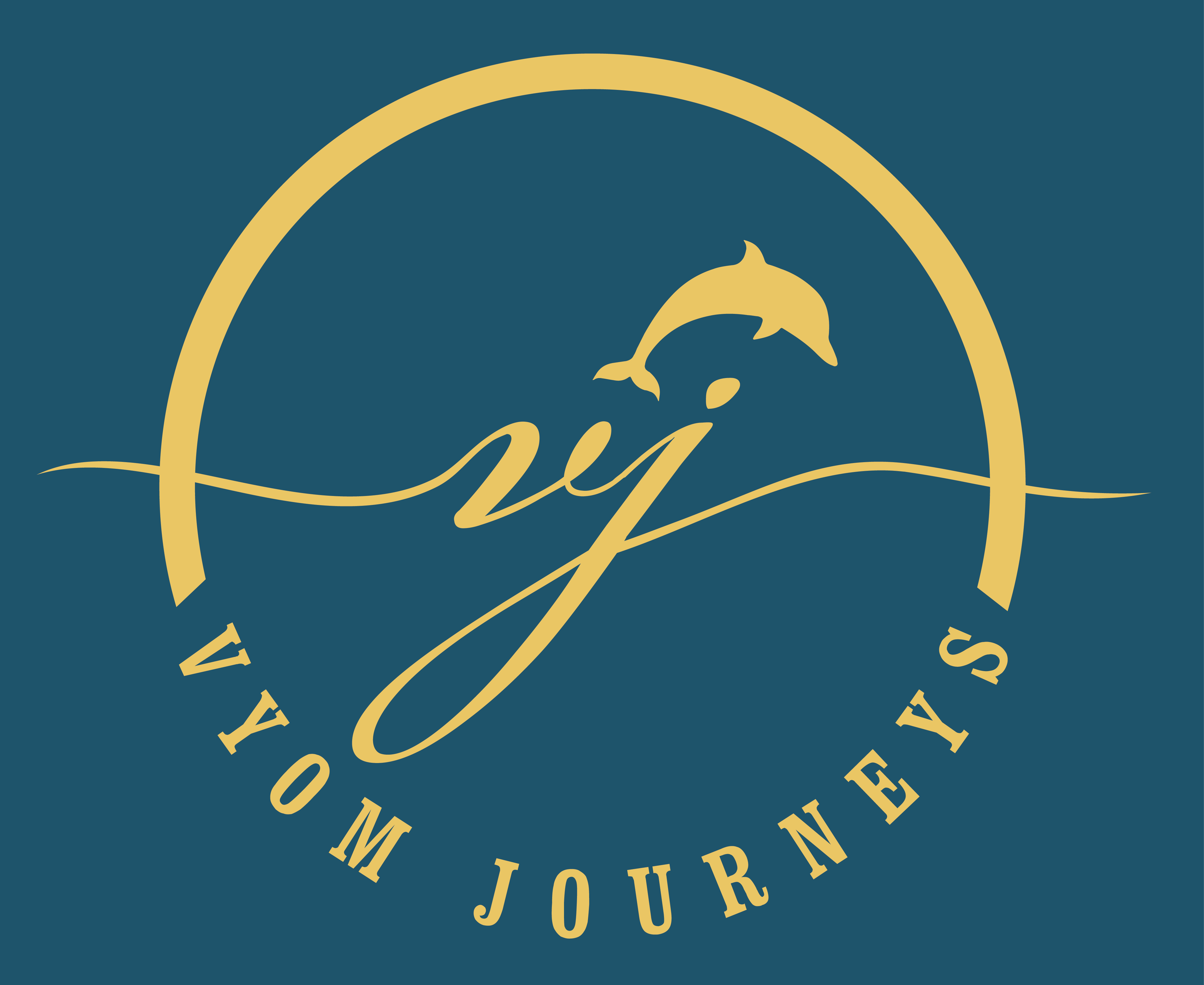 vyom journeys limited